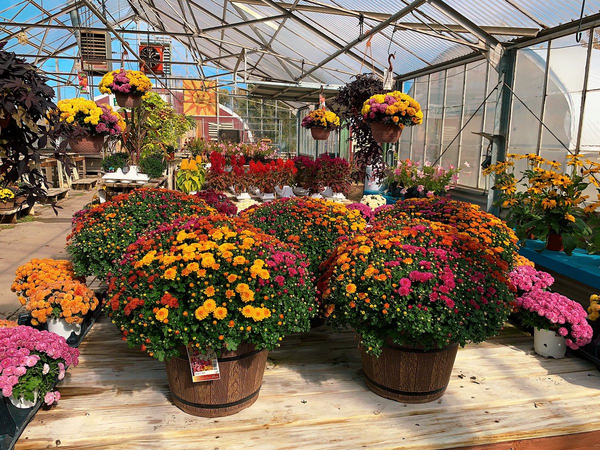 Minnesota Valley tweet media