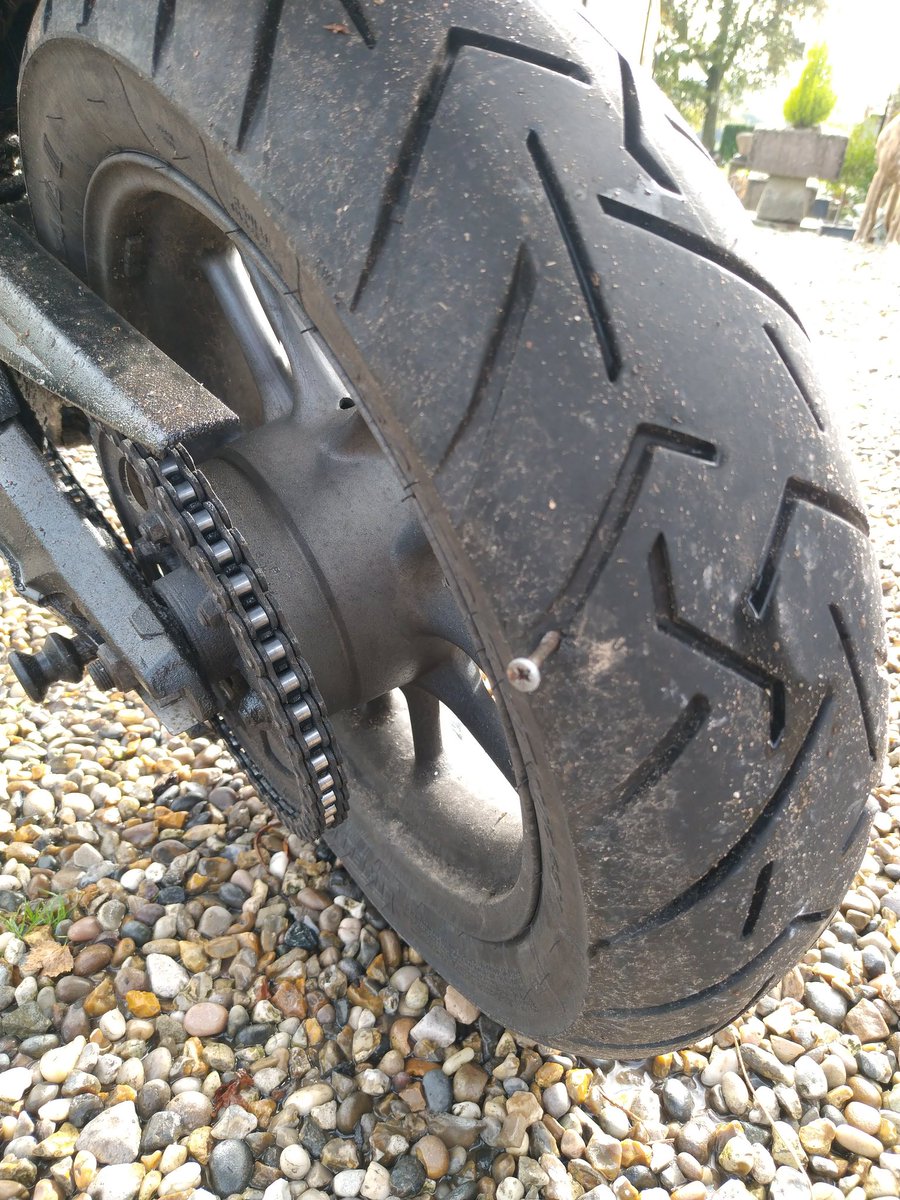 Phil Bertie Bunson tweet media