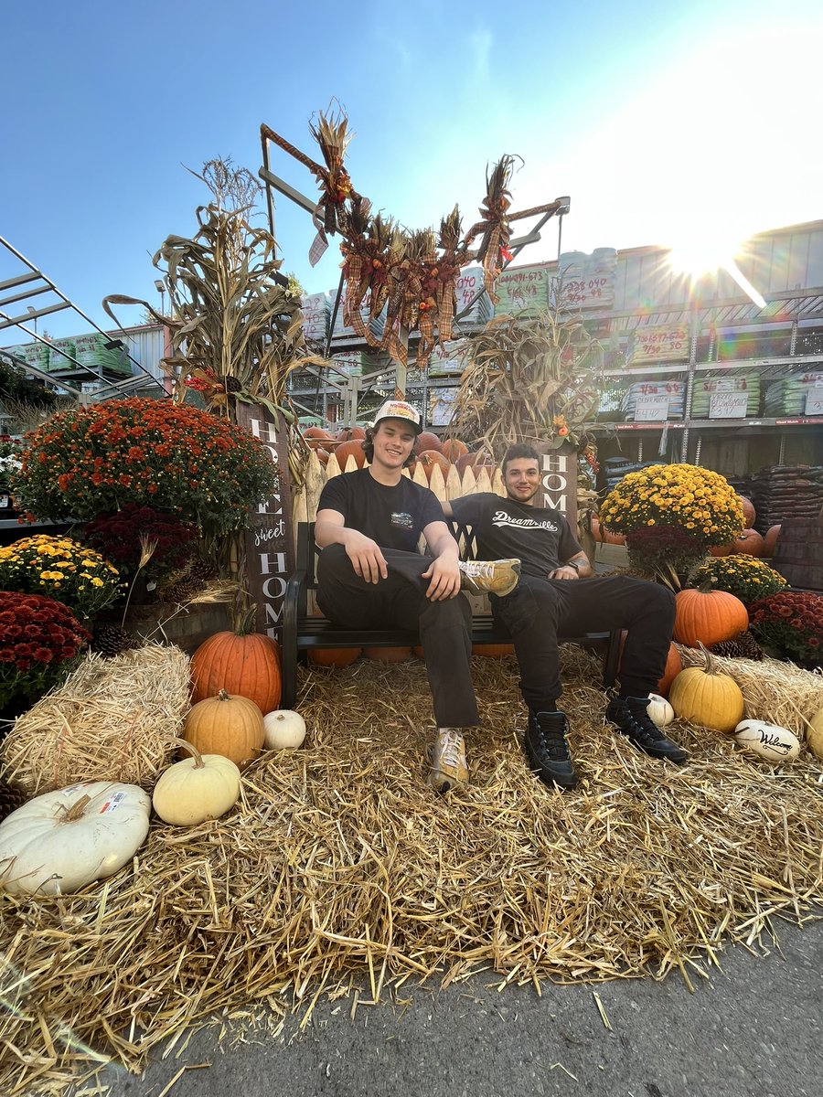 Fernando Almeida tweet media