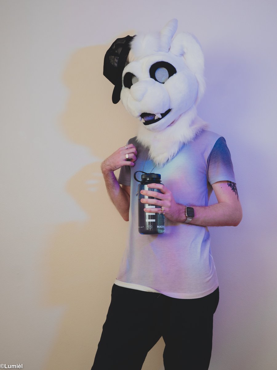 LumielTweets's tweet photo. On that purple beat 💜✨ Happy Friday!

#FursuitFriday #furry #furries https://t.co/J1gbf7mJzK
