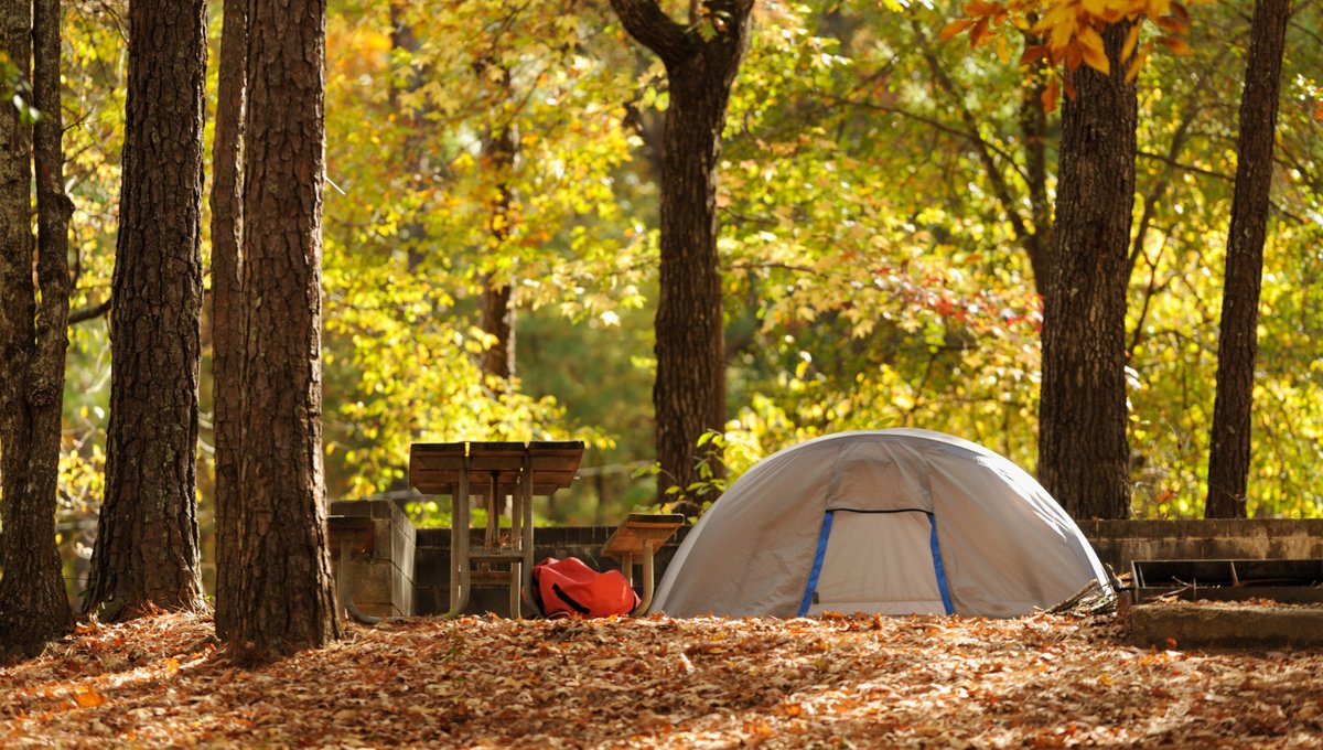 Depending on where you live and where you camp, the number of reservations on campsites declines steadily over the fall months.

Find out more about Fall camping at the link in the bio

#fallcamping #autumnvibes #camping #beckworthandco