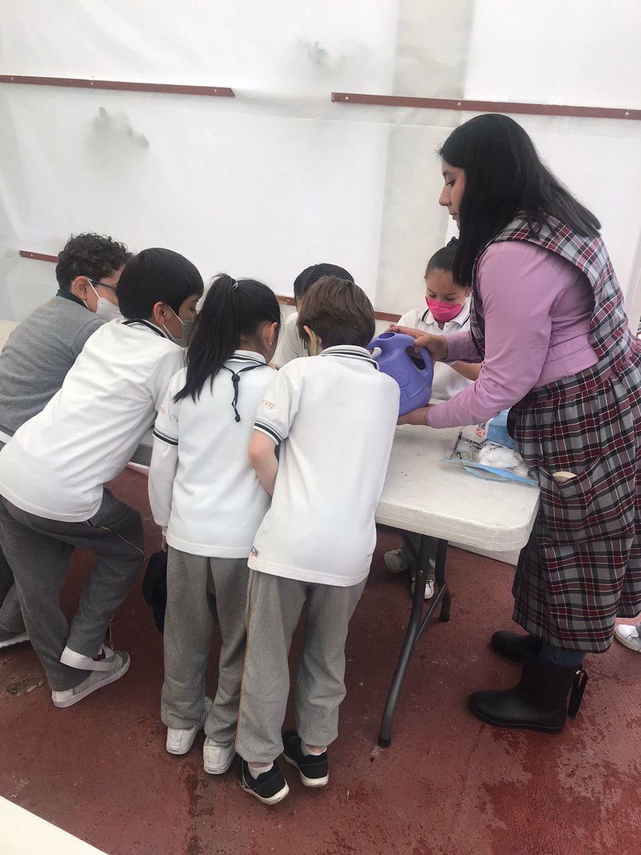 ityc_oficial's tweet photo. En esta ocasión nuestros alumnos de primaria, en su visita al Greenhouse, sembraron en tierra y algodón, y aprendieron cómo inician el proceso de crecimiento de las raíces y hacia dónde crece el tallo. 

#GreenHouse #PrimariaITYC #FelizViernes https://t.co/k9e08rSuze