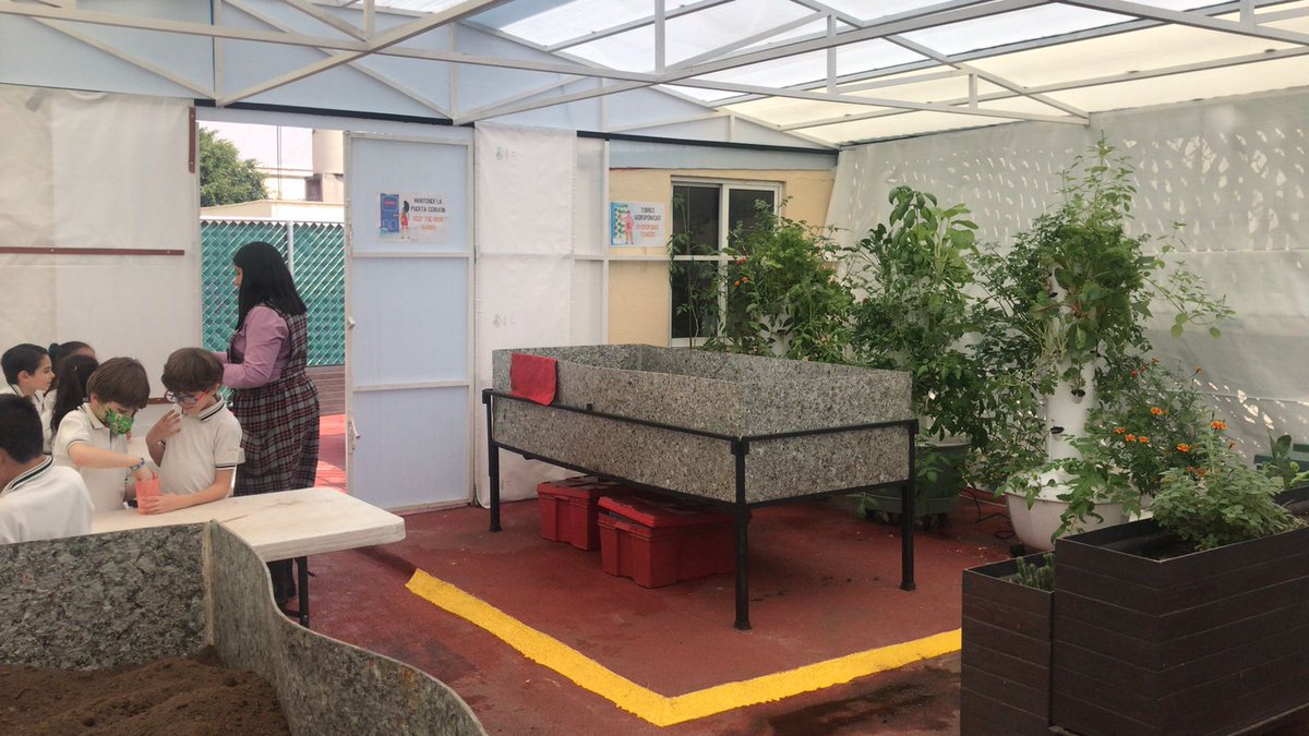 ityc_oficial's tweet photo. En esta ocasión nuestros alumnos de primaria, en su visita al Greenhouse, sembraron en tierra y algodón, y aprendieron cómo inician el proceso de crecimiento de las raíces y hacia dónde crece el tallo. 

#GreenHouse #PrimariaITYC #FelizViernes https://t.co/k9e08rSuze