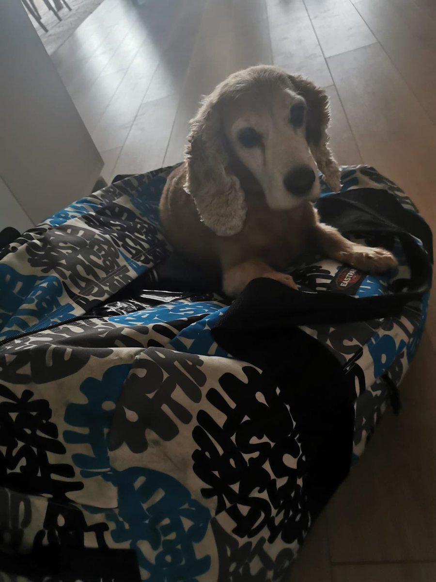 Her gidenle gitmek ister İtoş kız.