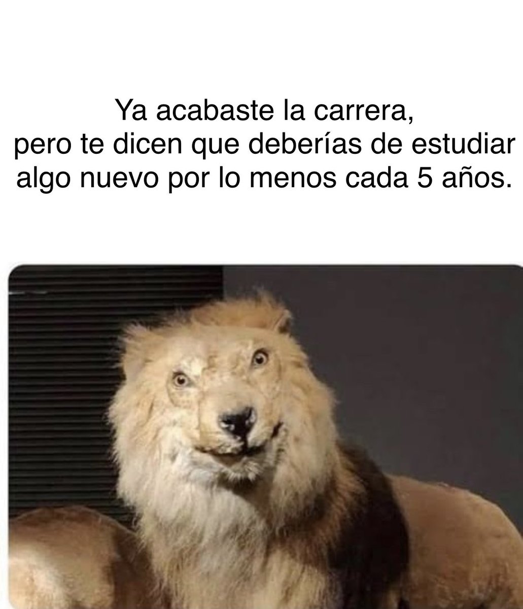ValeAguBi's tweet photo. @jfcalderon @DellTechMx @ITAM_mx https://t.co/DBiUHZoSA6