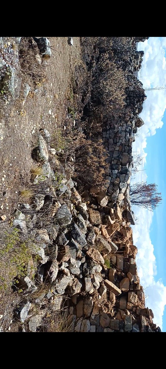 edisonvaleriohu's tweet photo. En Ñaupamarca de Huachis, las paredes de construcciones incas o preincas están colapsando ( al igual que Kuelap). Sin apoyo público o privado pronto se perderá parte de nuestra historia. @culturaancash @MinCulturaPe https://t.co/SFwyIf9dH2