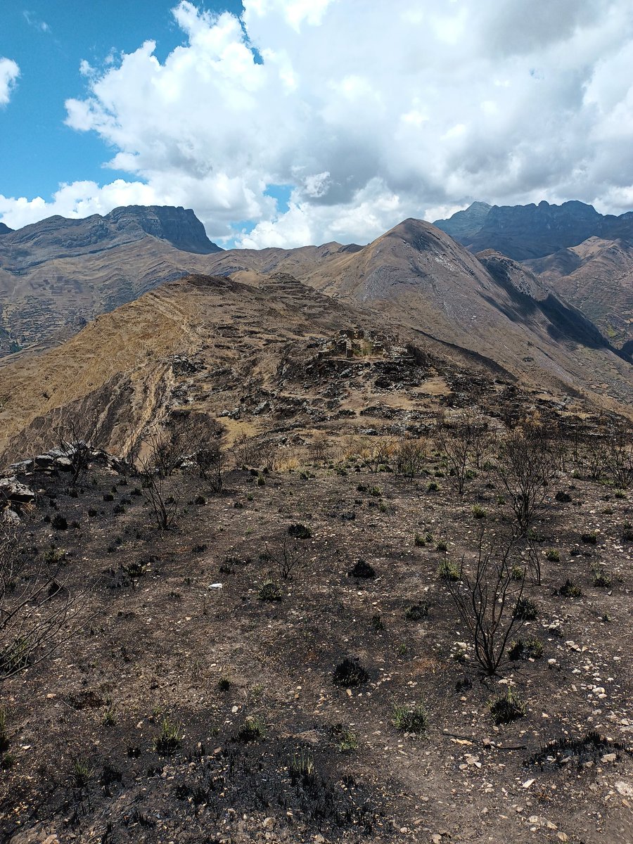 edisonvaleriohu's tweet photo. En Ñaupamarca de Huachis, las paredes de construcciones incas o preincas están colapsando ( al igual que Kuelap). Sin apoyo público o privado pronto se perderá parte de nuestra historia. @culturaancash @MinCulturaPe https://t.co/SFwyIf9dH2