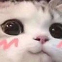 Mythus🦇 tweet media