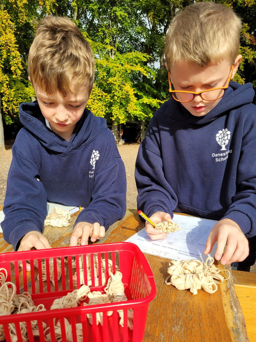 DanesfieldY4's tweet photo. Super fun #mathsinvestigation in the forest this morningโฆ using our rounding skills to help protect the castle from attack! ๐ฐ ๐น ๐ค @DanesfieldSchl https://t.co/YgGCgMv6WO