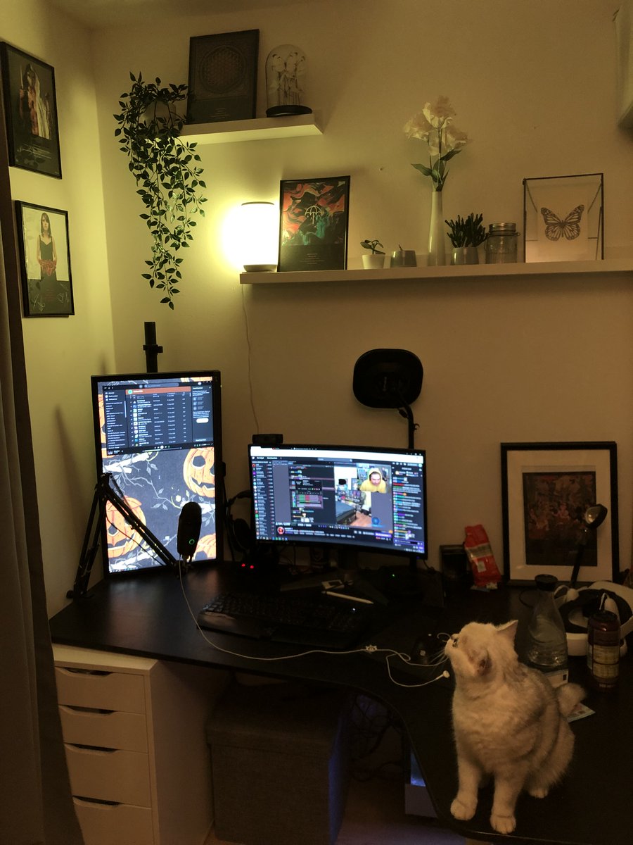 pneptwitch's tweet photo. @sennyk4 My setup and library room https://t.co/t1xsHJnk8U