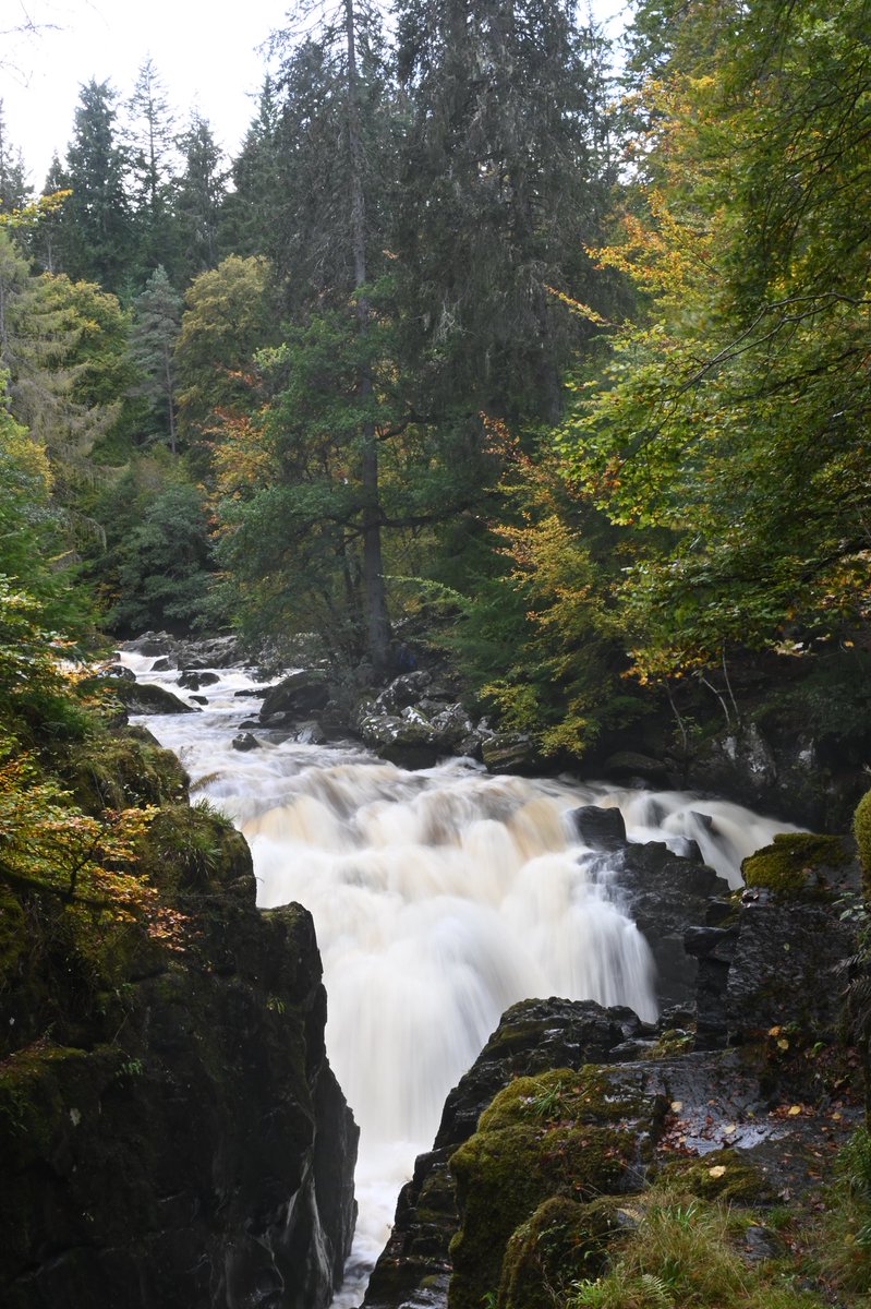 TrialBalance's tweet photo. Black Linn Falls, Dunkeld 
With a backdrop of autumn colors, the Black Linn Falls is beautiful 👍🏽
#VisitScotland #Dunkeld #blacklinnfalls #hermitage https://t.co/tVRrvlySjN