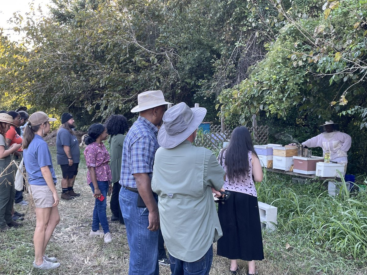 JenniferCaseyFL's tweet photo. Our #StartFarming Mentorship program toured White Harvest Farms this week to learn about soil biology, beekeeping and more! We’re looking forward to this group starting new farm businesses on the First Coast! #urbanagriculture #ilovejax #jaxsoilandwater https://t.co/jaZ2EJpvcR