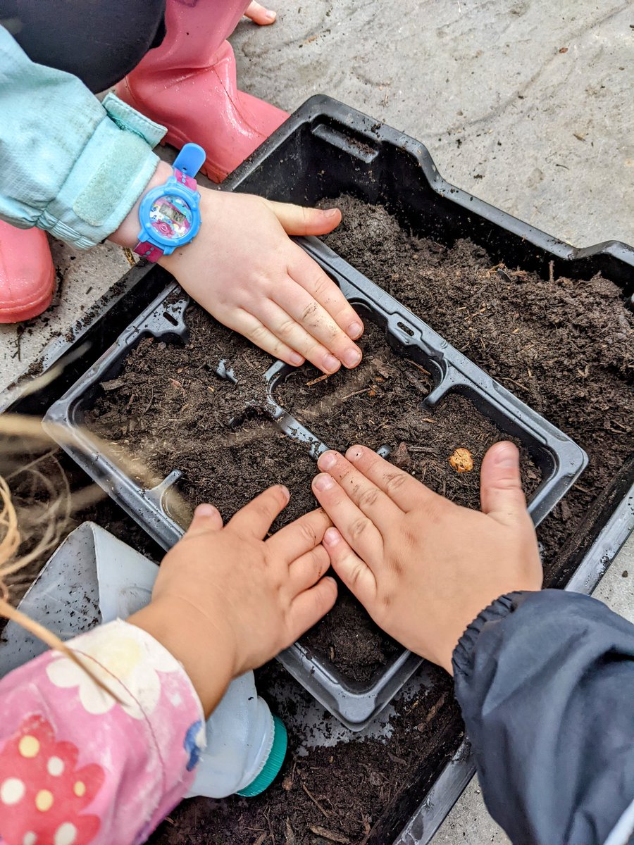 The Bee Team tweet media