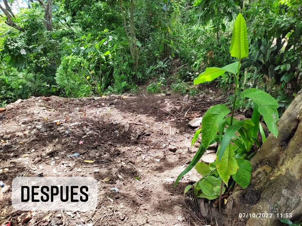 Asi encontramos el promontorio de basura por la guarderia y asi quedo luego de ser intervenido.

Hacemos el llamado a las personas que evitemos la contaminación tirando la basura y contaminando nuestro municipio es una responsabilidad de todos.
