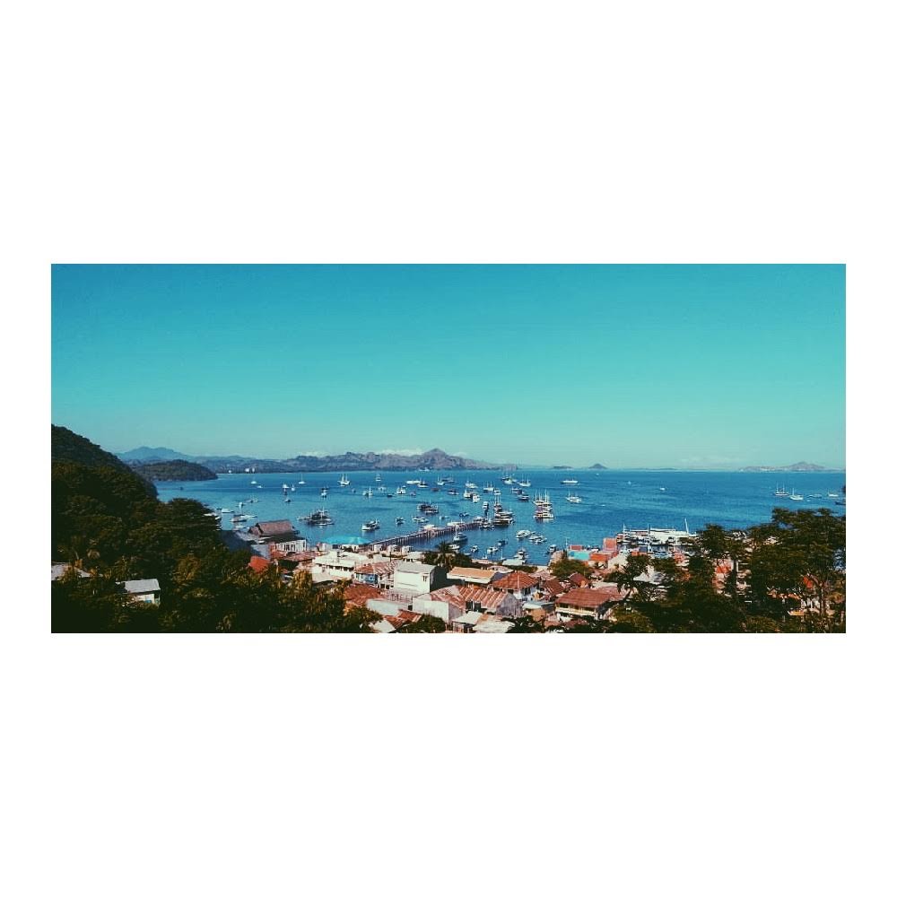 peneliti kadal tweet media