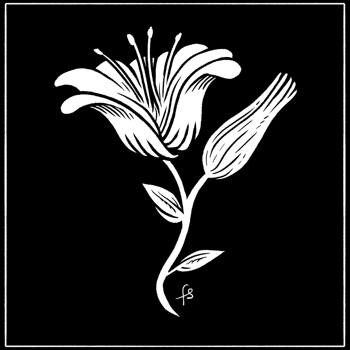Kim Jung Gi's friends and coworkers over at @superani82 requested flower drawings in lieu of actual flowers as tribute, so I drew this humble white lily and sent it (they're forwarding all of these to his family) #RIPKimJungGi 