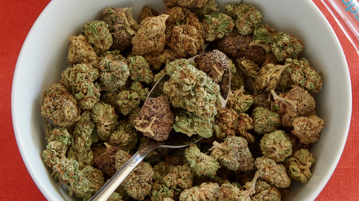 weedmaps's tweet photo. time for breakfast 🥣 https://t.co/wT3FHLYgR3