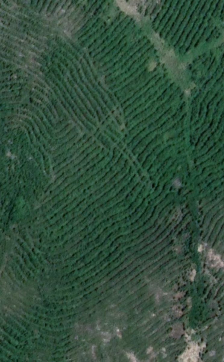 Adam ™ Ford tweet media