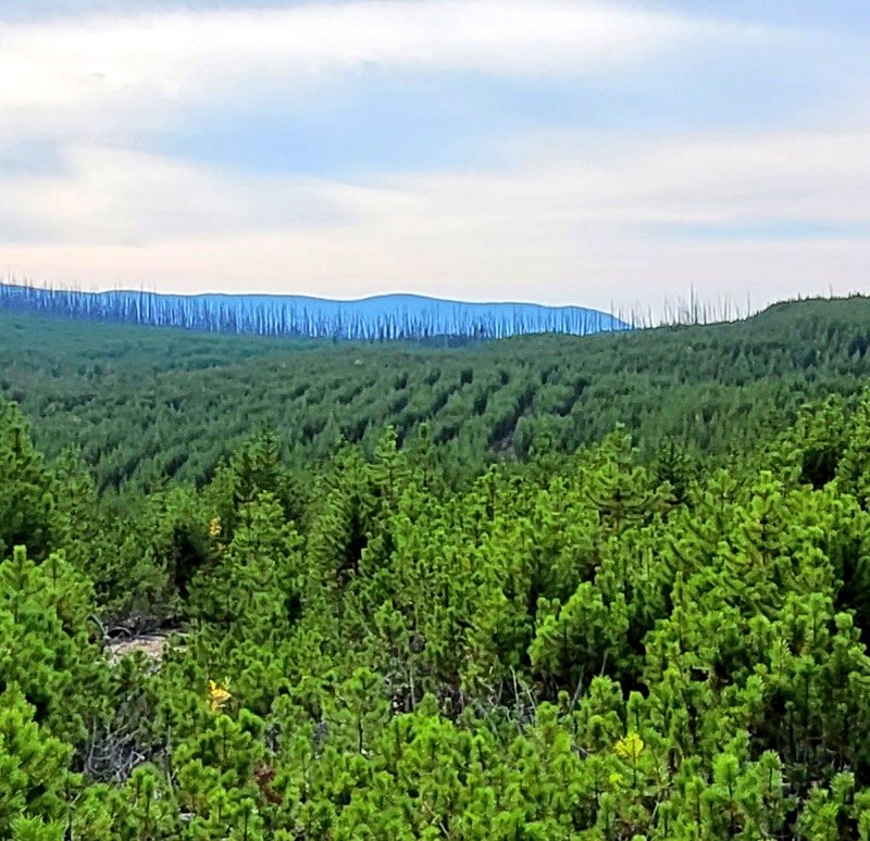 Adam ™ Ford tweet media