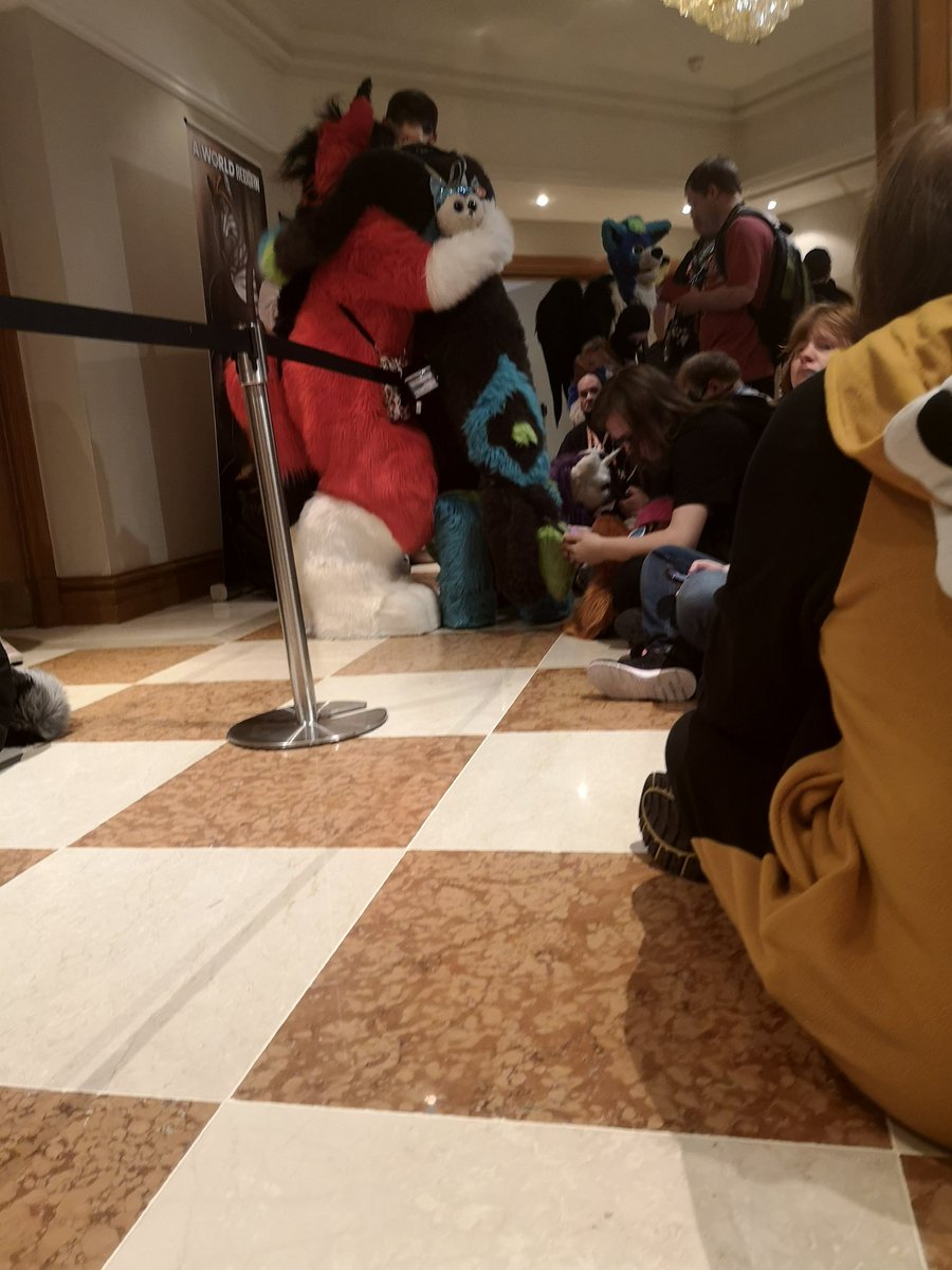 FinleyTheFloof's tweet photo. Took this picture at #confuzzled22 #cfz I don't know who's there fursuiters are if you do tag them https://t.co/38LPAtyif8