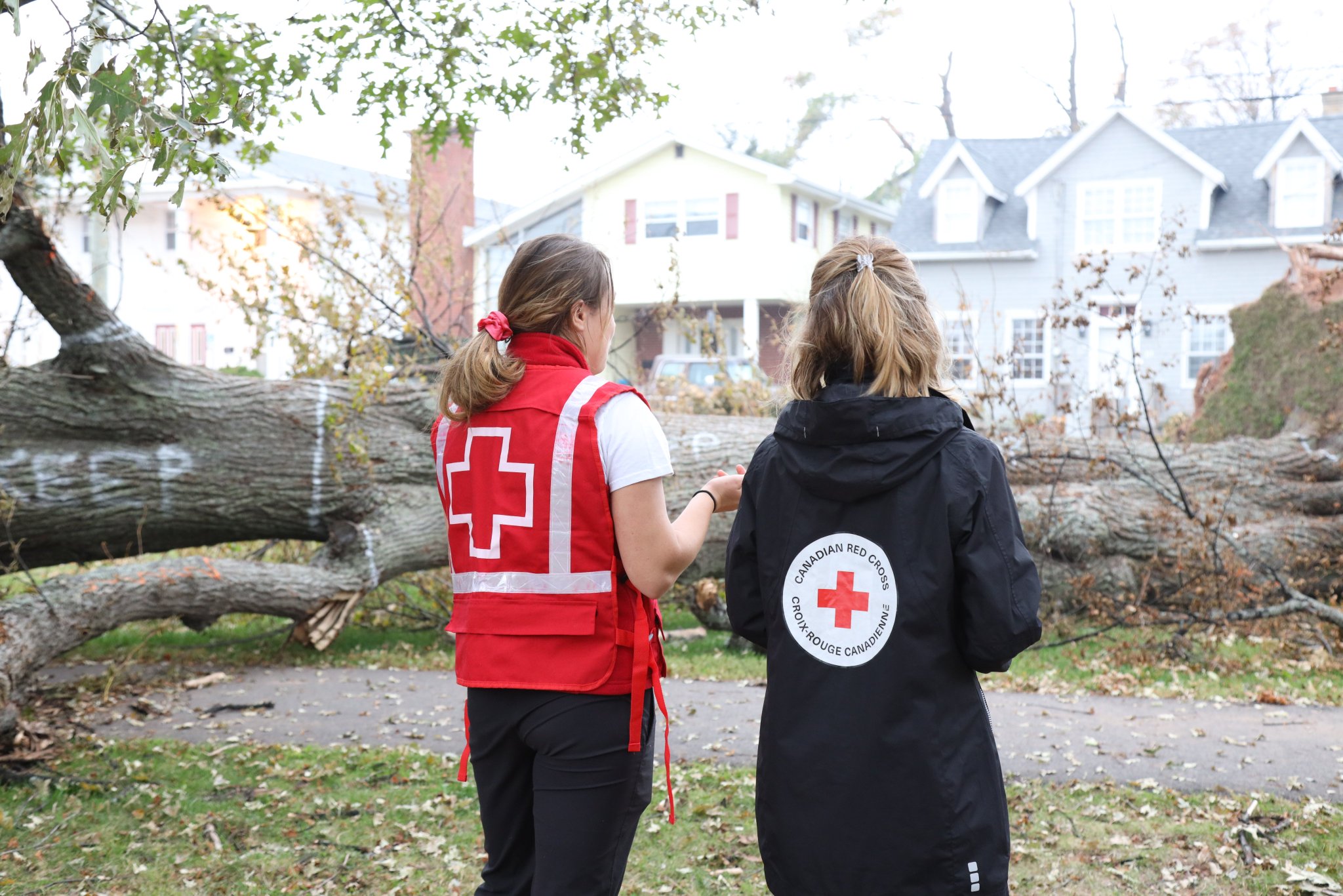 Canadian Red Cross on Twitter "Next week, we will start distributing financial assistance to