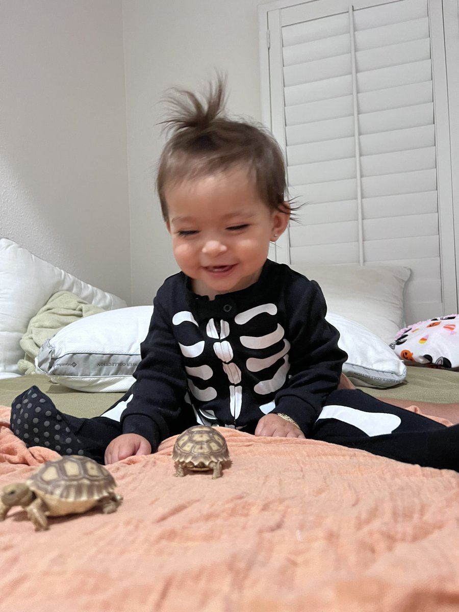 JavinaYvette's tweet photo. Buzz &amp; Woody 🐢💚 ft miss Cami loks 💛 https://t.co/lMwalwLd0D