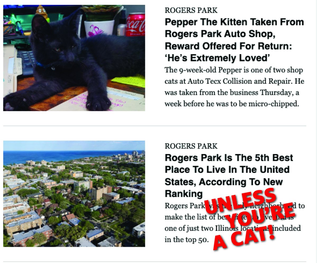 #CHICAGO #ROGERSPARK #CATS