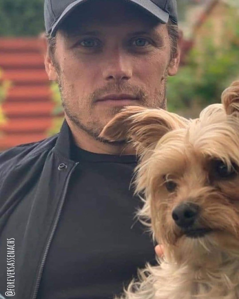 Cath_M_B's tweet photo. #menwithdogs 🐶🐕

That is the post....

You're welcome 

#ChrisEvans #HenryCavill #SebastianStan #SamHeughan https://t.co/n4jnCZnn71