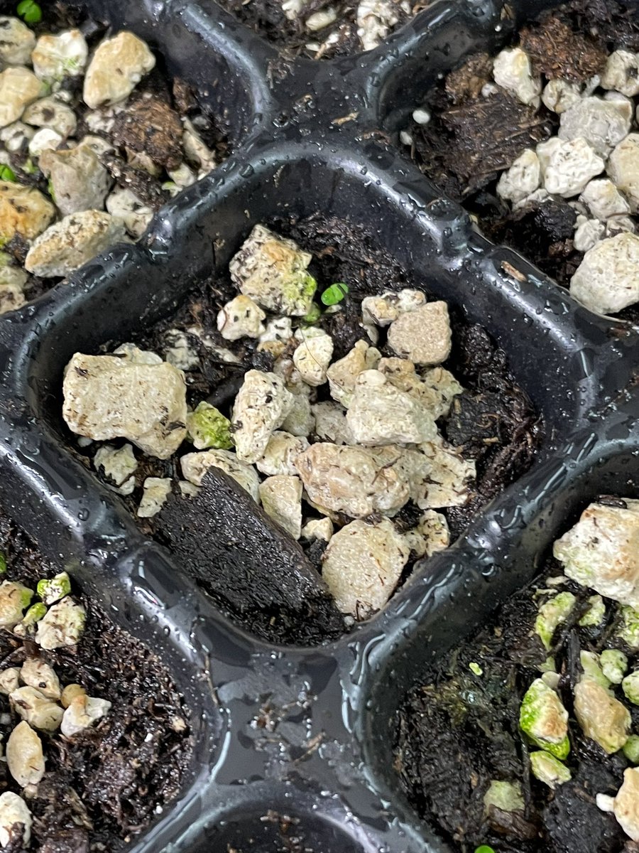 Andrew Kearns tweet media