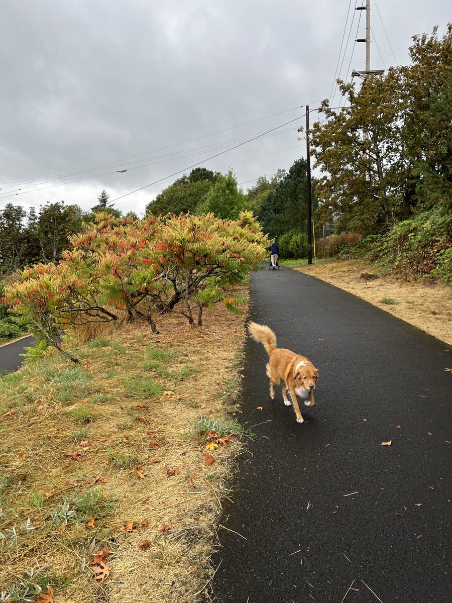 Marlow was taking her sweet time to catch up to us and an older gentleman stopped me and said (with a big grin on his face): “Let me tell you a secret. There are many things in life you can rush … your dog is not one of them.”