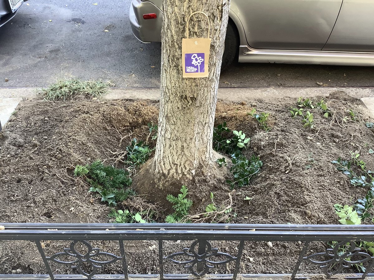 swingstreet133's tweet photo. @NY4P @NYCGreenThumb @NYCParks #NeverForget #Sept11 #daffodilProject planted @swingstreet133 @FiskarsAmericas @GrowNYC @mancb10 @FDNY @NYPD32Pct https://t.co/UsOvV3PM3h