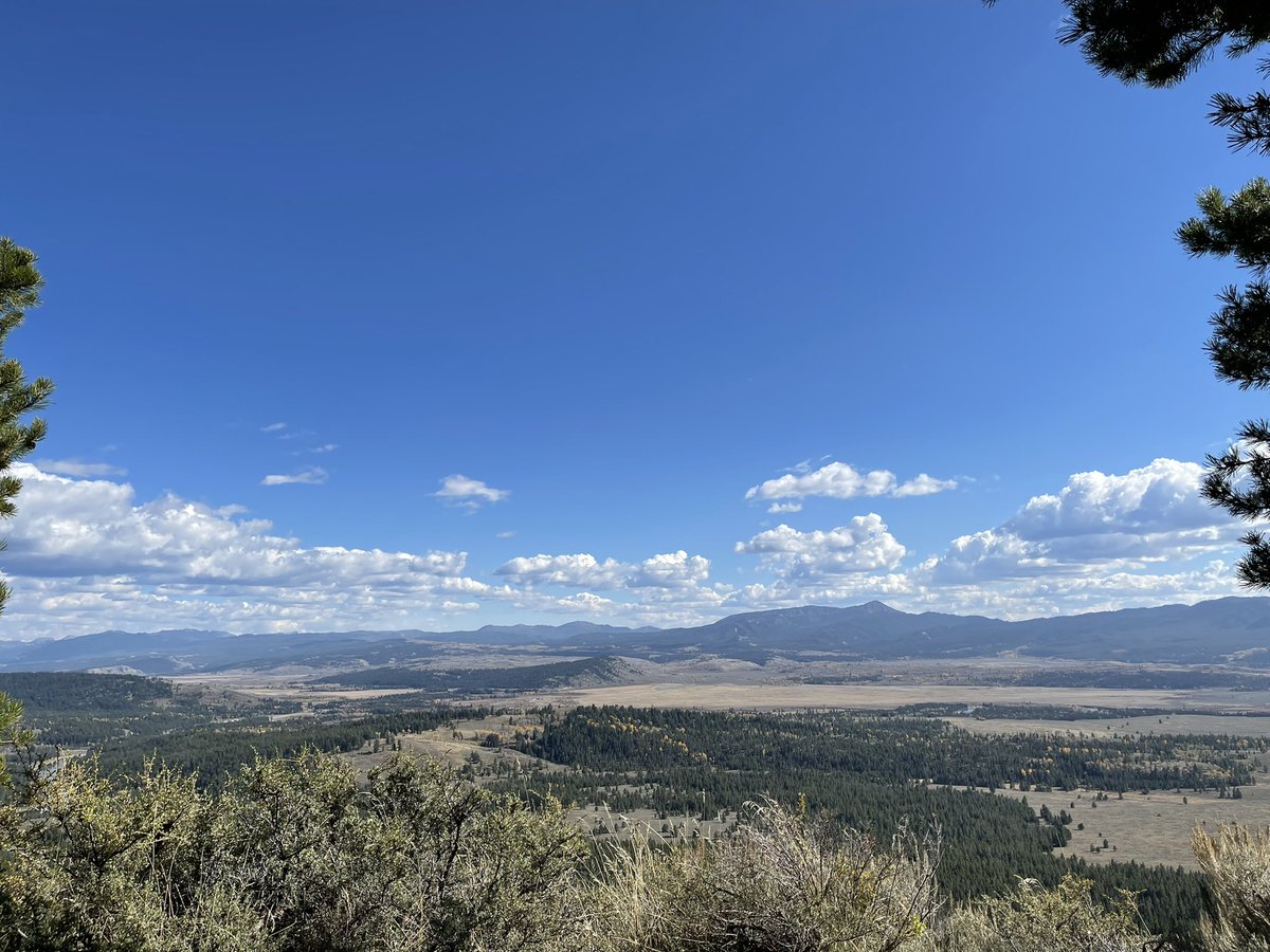 Geospatial Metadata tweet media