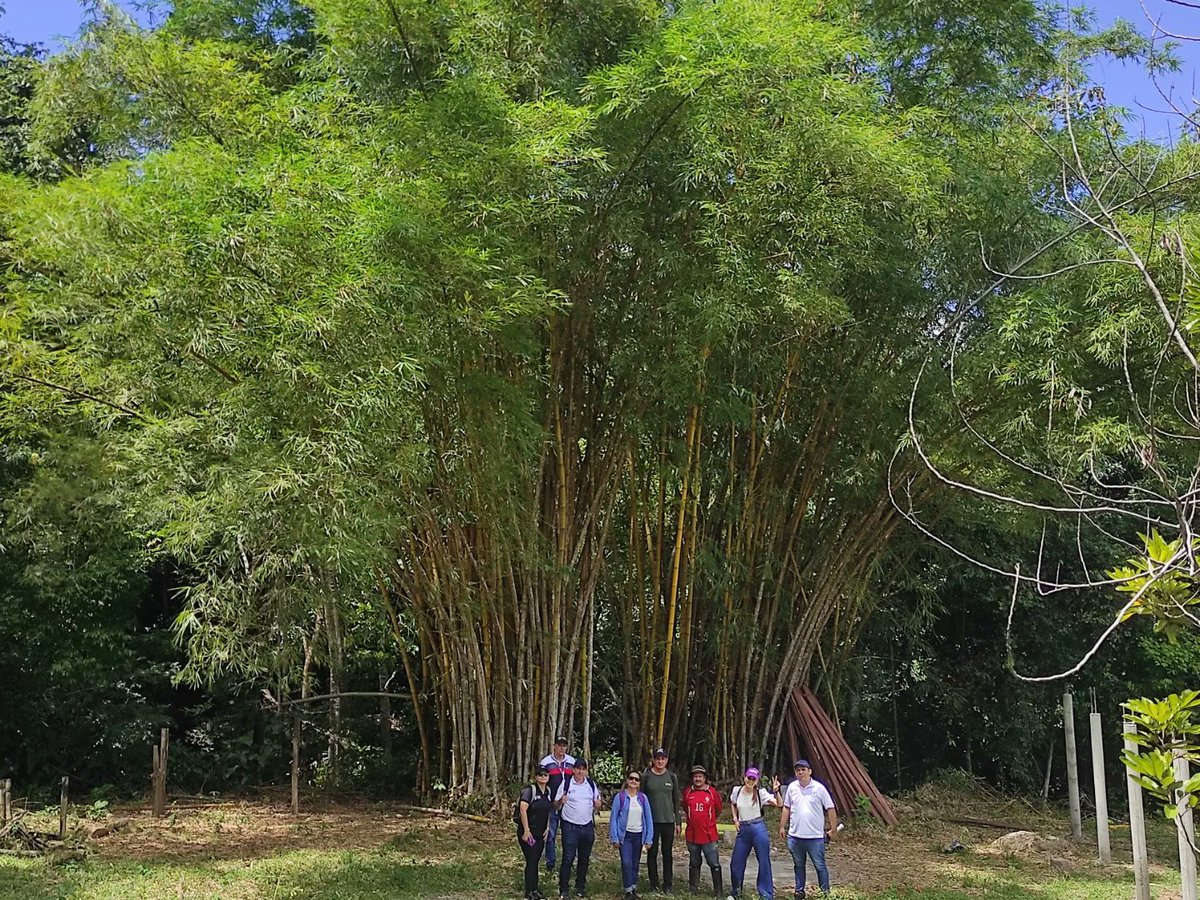 LuisaFe14443735's tweet photo. Hoy @fonturcol @GoberNorte y @corpomixnds visitamos el Zulia Norte de Santander, un destino por descubrir lleno de Naturaleza y buena energía! Encontramos artesanías, comida típica y unos Pozos de agua sencillamente Espectaculares 💛 https://t.co/ZSyXTR3QId