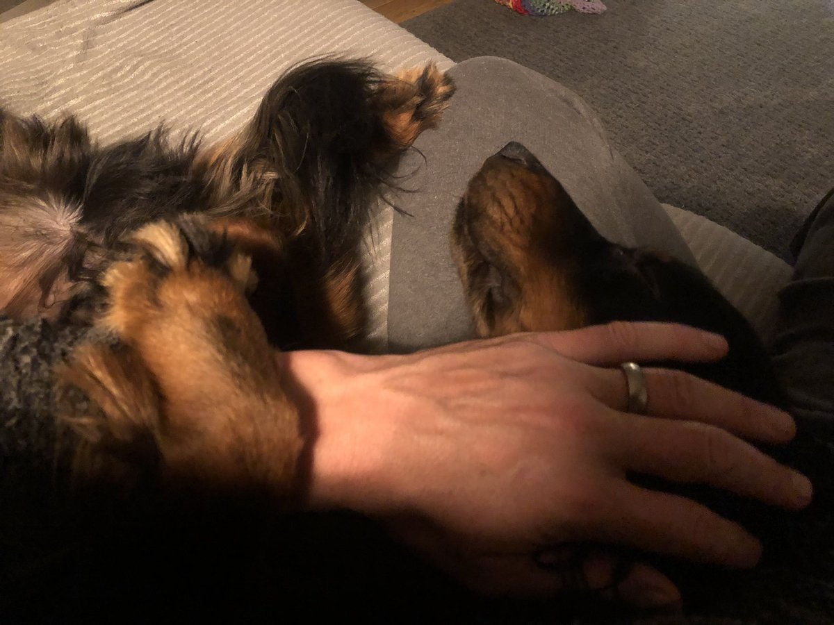 Michael Ripley tweet media