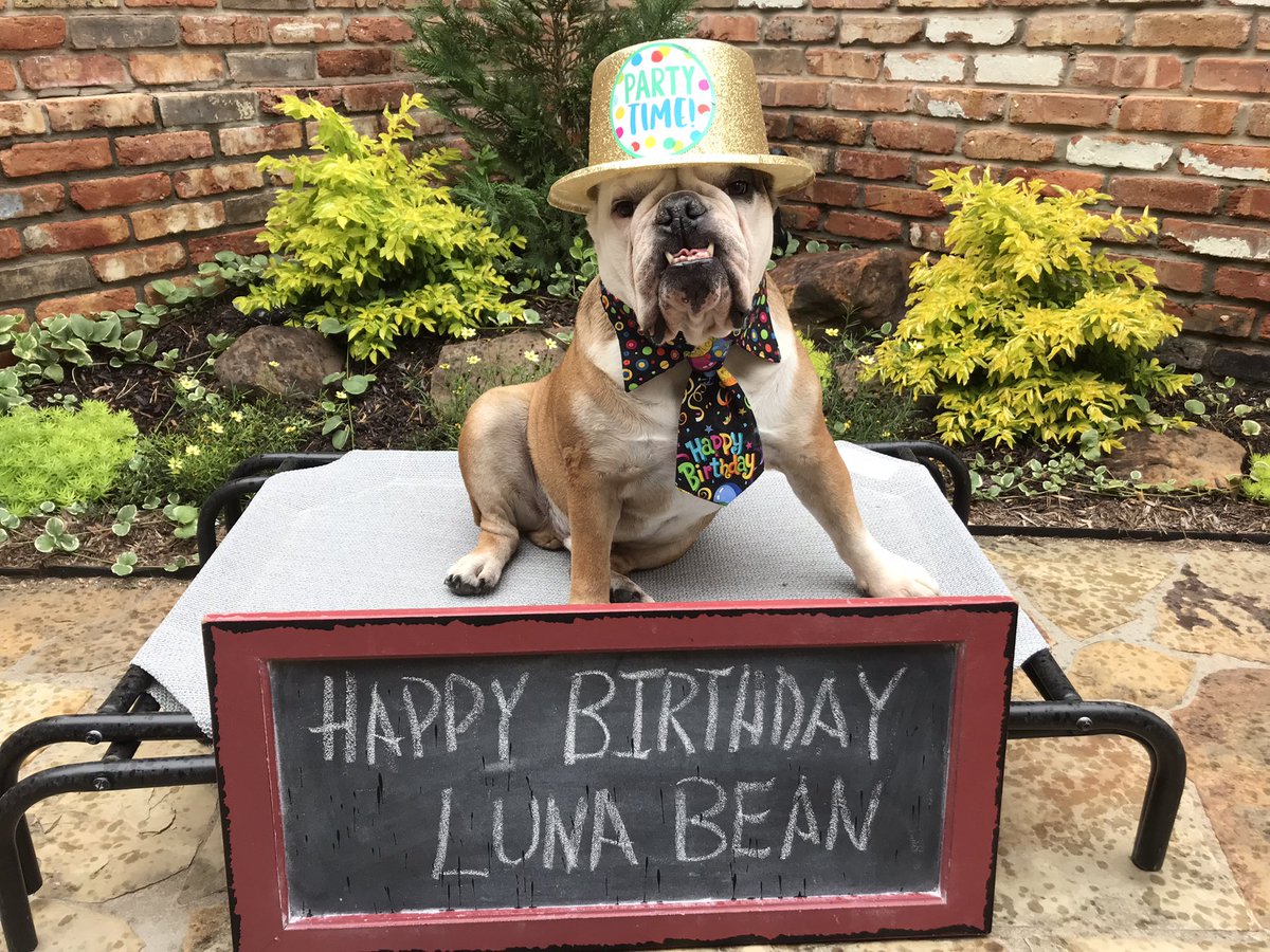 Happy 6th Birthday to my amazing friend Luna Bean <a href="/gloveritchey/">EmmyRose (G💗's sis) & LunaBean</a> 🎉🎉🎉🎉🎉🎉🎂🎂🎂🎂🎂🎂🎁🎁🎁🎁🎁🎁❤️
