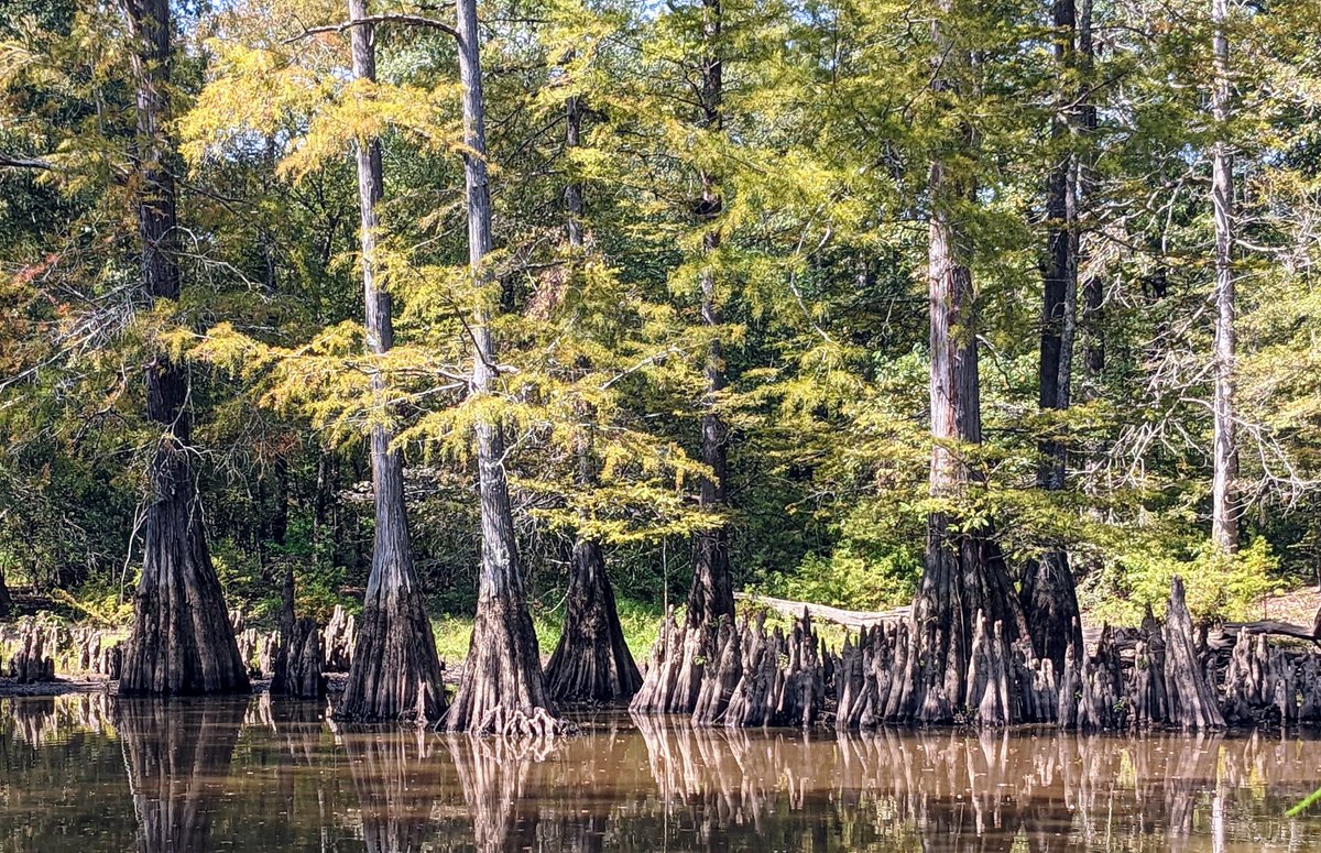 Nate Jones tweet media