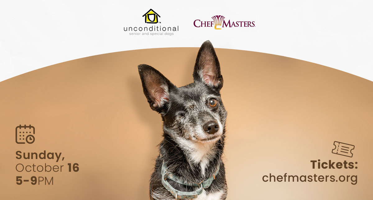 dig_labs's tweet photo. We're excited to support our advisor, Amy Mack, who is also co-founder of Unconditional, a rescue focused on helping special needs and senior dogs, at @chefmastersevent on 10/16. Purchase tickets at https://t.co/t8rbo1LO1d! https://t.co/8oSE0lpJIV