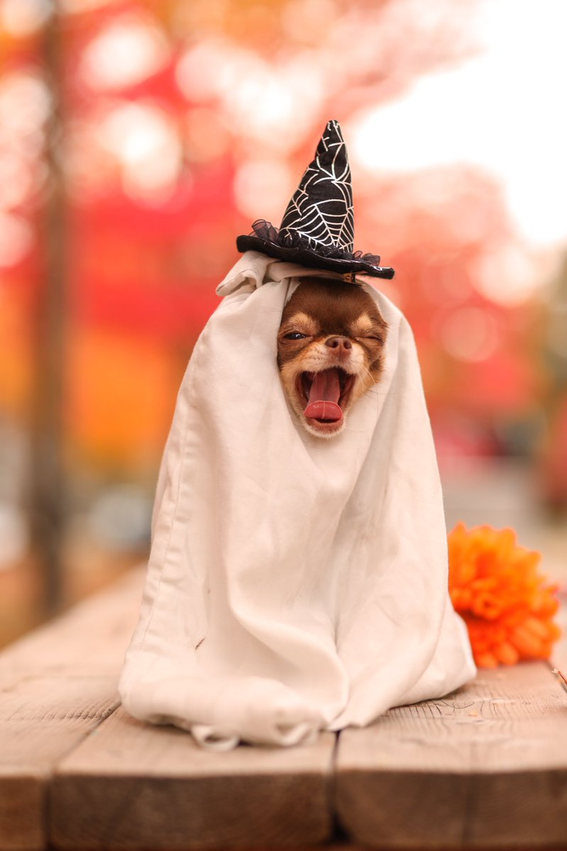 People: BOO!
Me: 😱