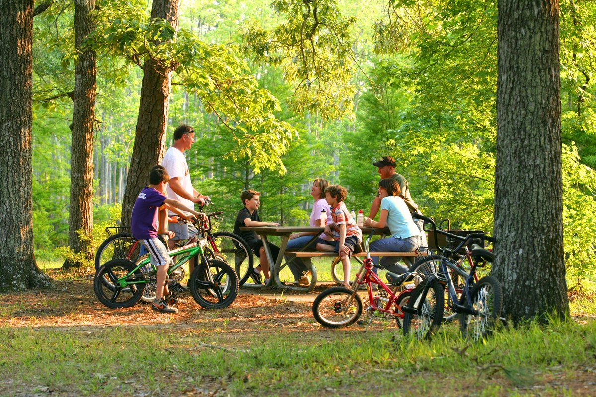 Visit Lake Charles tweet media