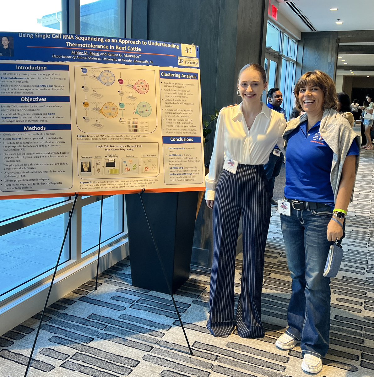 Raluca Mateescu tweet media