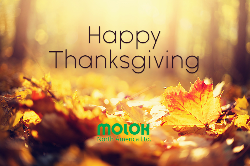 This Thanksgiving we sincerely express our best wishes to you and your family. This is a time of year to celebrate the blessings in our lives, both large and small. Take some time to reflect on what brings you the greatest joy in life!