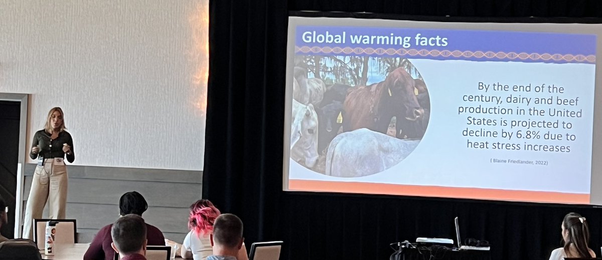 Raluca Mateescu tweet media