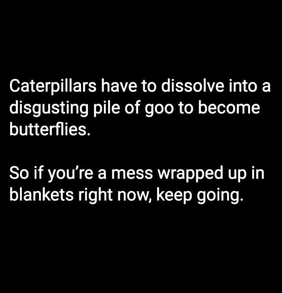 teachergoals's tweet photo. So true. 🐛🦋 https://t.co/cCwgiFgMtz