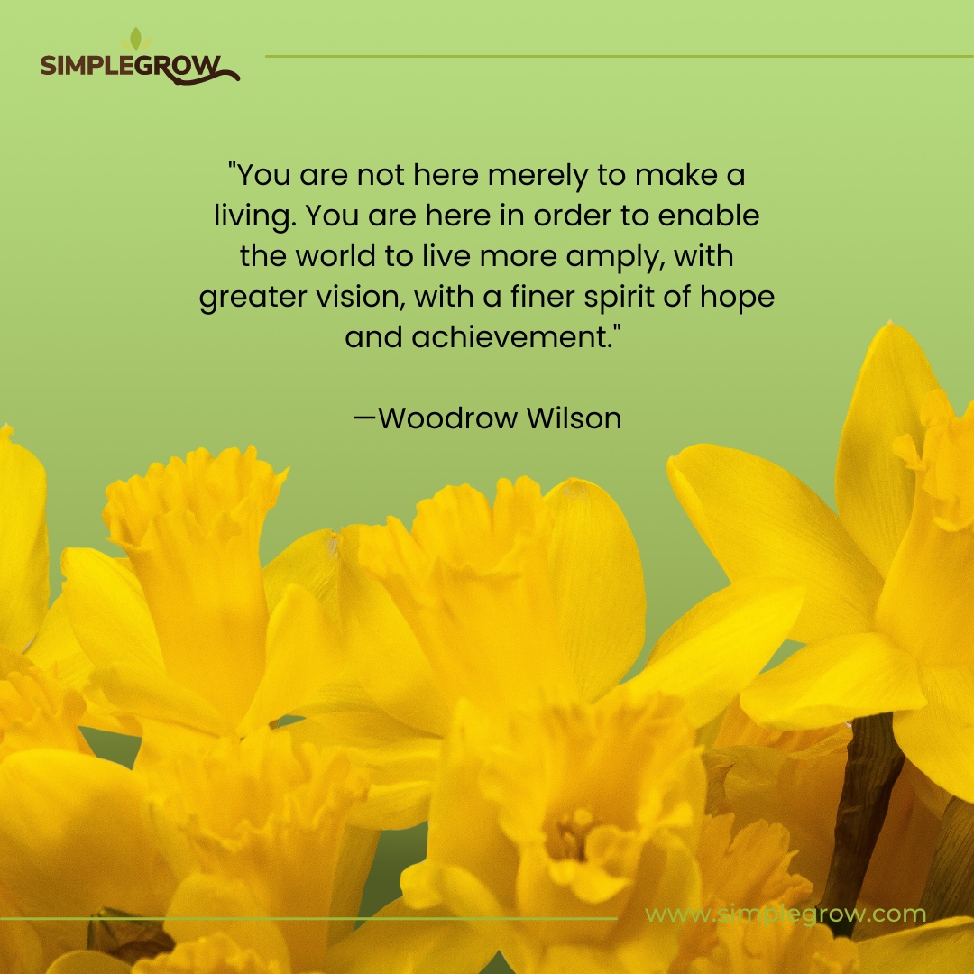 Simple Grow tweet media