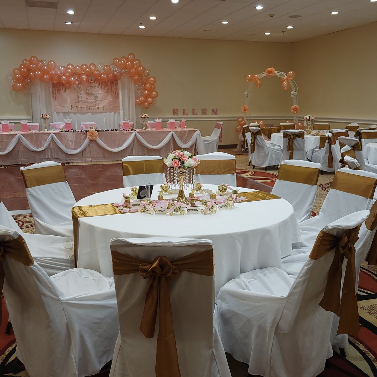 SheratonTampa's tweet photo. Who wouldn't want to have a party with a space like this? π€©π€©ππ #party #birthday #friendstaff #sheratontampabrandonhotel https://t.co/zdoXEDc7tP