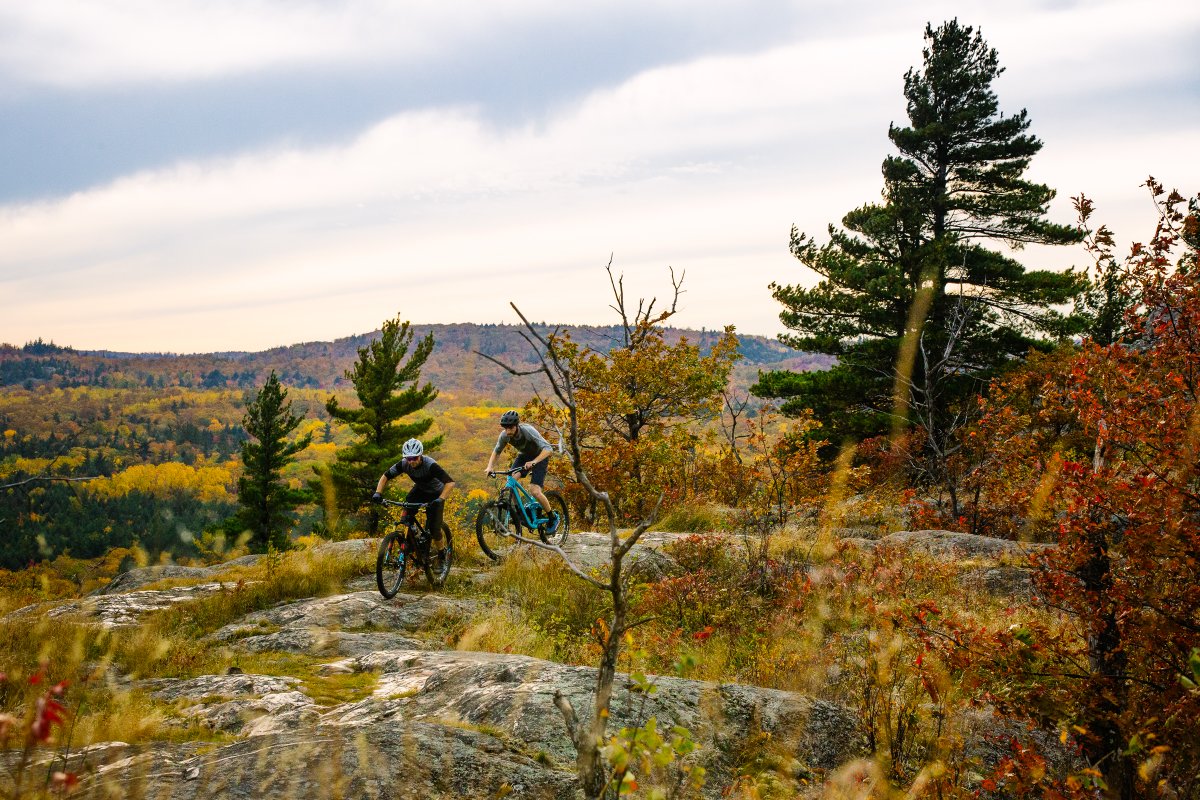 trailforks's tweet photo. Leaves are changing and giving our trails a new hue. What's your favorite fall riding spot? ๐
#MTB #mountainbiking #fallriding https://t.co/CFIoEATSyW