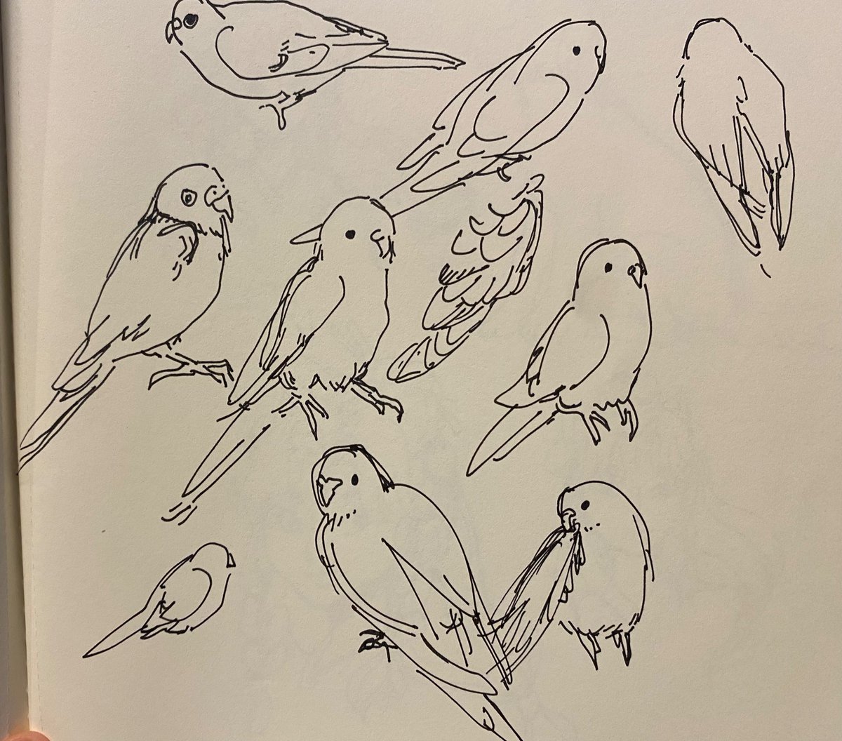 pen sketches done in waiting rooms 