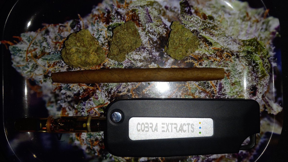 JaiTowns's tweet photo. Happy Frihighday day almost done its bout to get cloudy #weedlife #stoner #medicating #420life #cheflife #truecooks #stayhighnlaylow #getintoit https://t.co/6N90WbPqb7