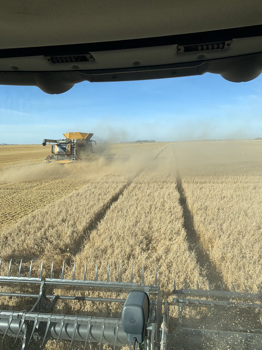 Günter Jochum🧢🇨🇦 tweet media