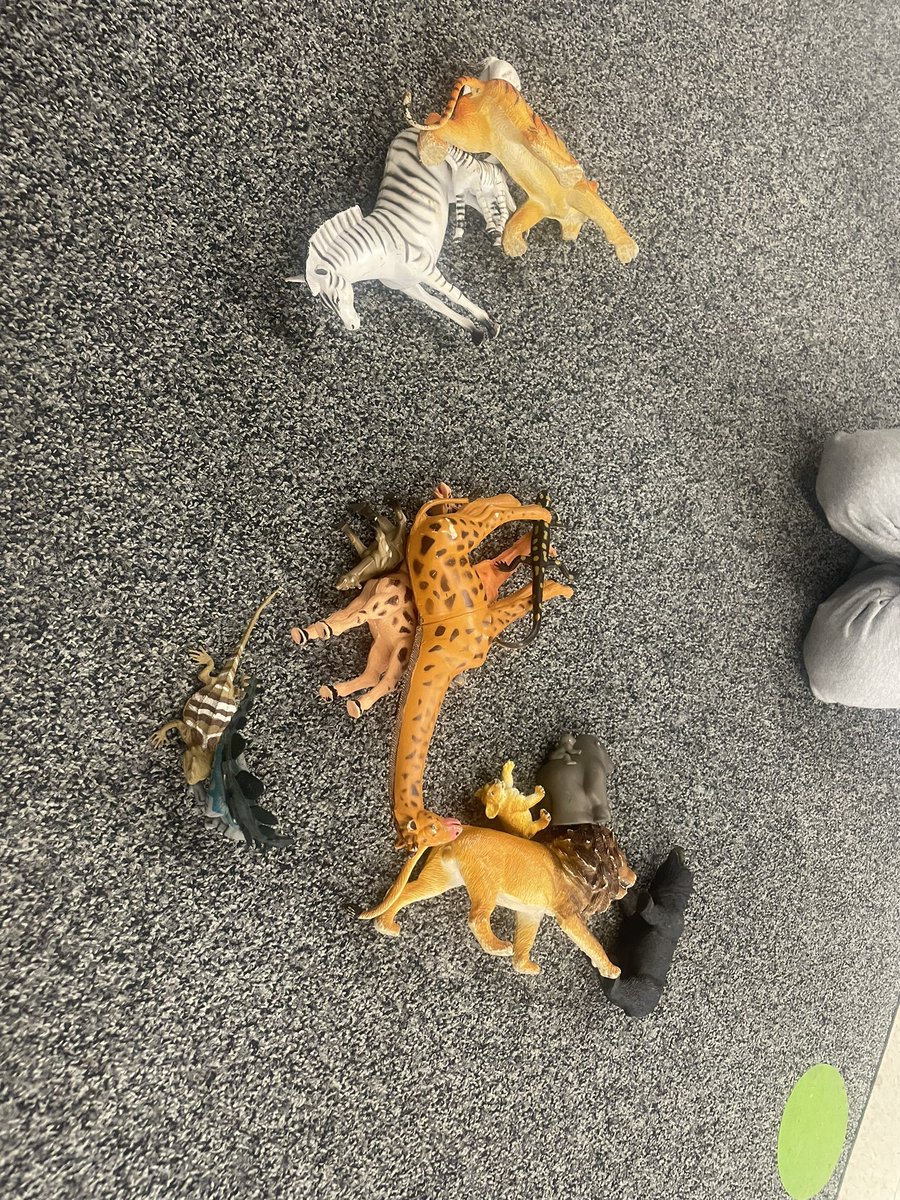 We have been sorting in math! Today one friend sorted our animals by size, colour, spots/ strips/ or solids, and herbivore/ omnivore or carnivore! 

Amazing to see how many ways we can sort one set of items!